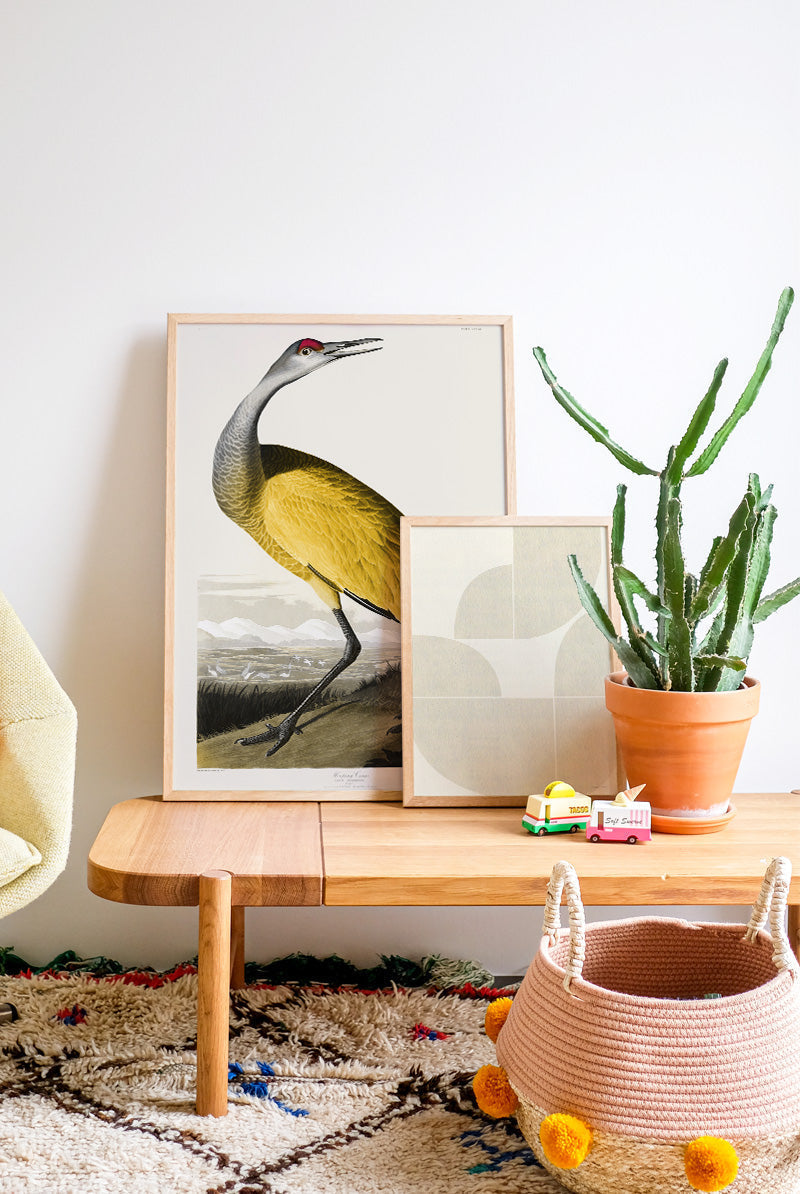 Birds of America - Yellow (50x70 cm)